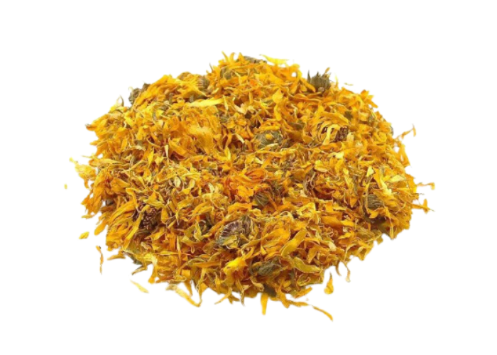 CALENDULA